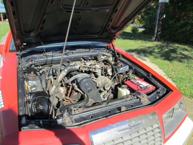 1984 Ford Thunderbird - photo 5