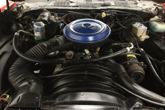 1977 Chevrolet Monte Carlo Landau - photo 4