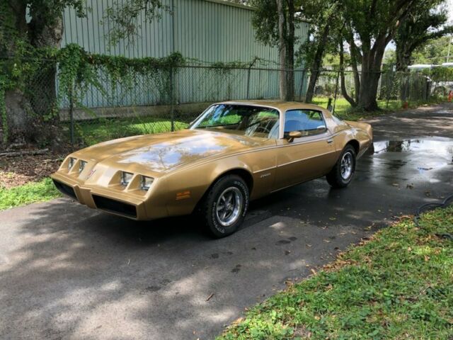 1979 Pontiac Firebird -- - photo 3