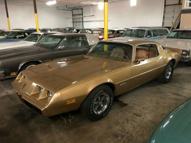 1979 Pontiac Firebird -- - photo 6