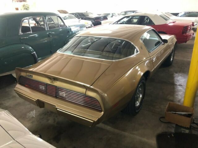 1979 Pontiac Firebird -- - photo 7