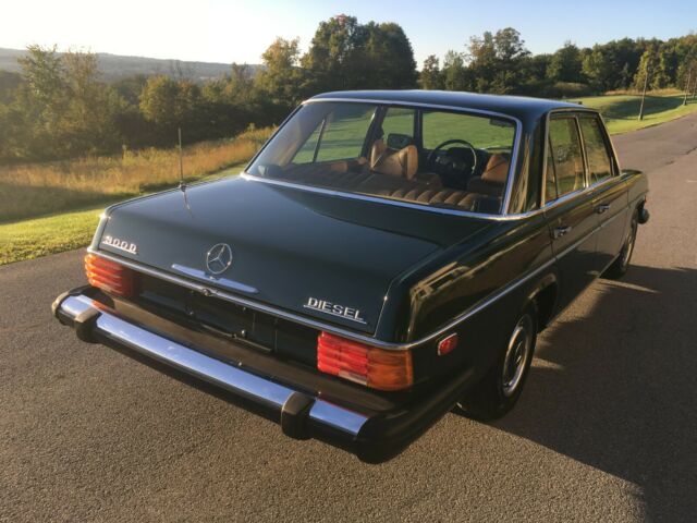 1976 Mercedes-Benz 300-Series Sedan - photo 9