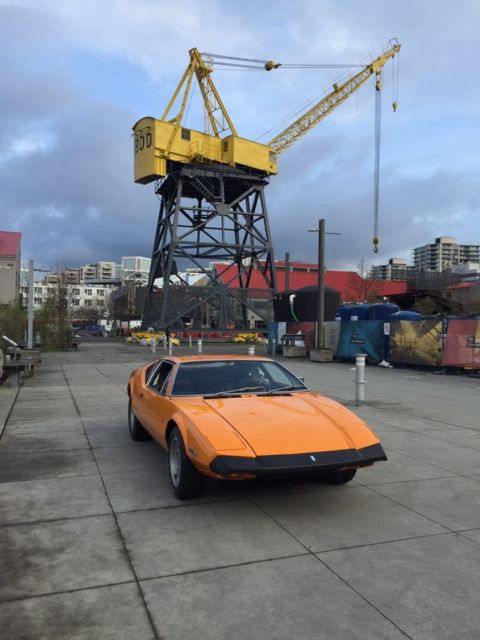 1973 Other Makes Pantera - photo 8