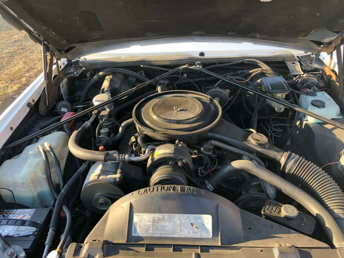 1985 Cadillac Eldorado Biarritz - photo 13