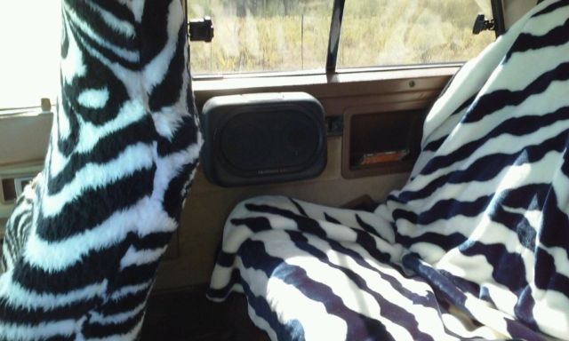 1985 Ford Mustang - photo 4