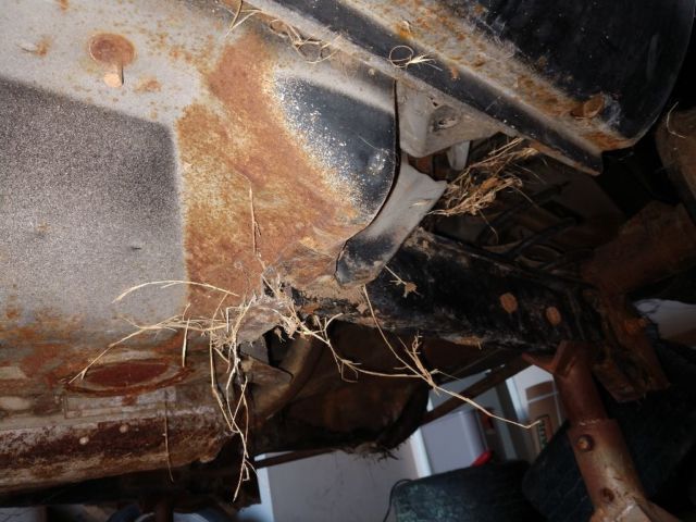 1979 Triumph TR7 - photo 2