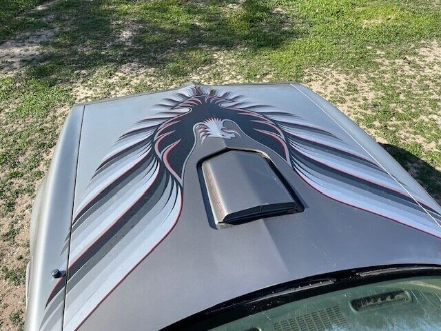 1979 Pontiac Trans Am - photo 13