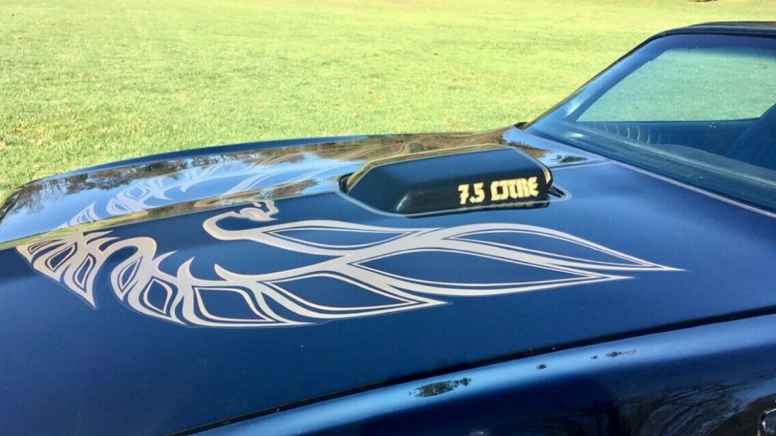 1977 Pontiac Trans Am - photo 8