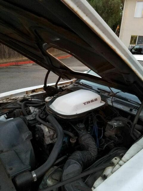 1978 Pontiac Trans Am - photo 4