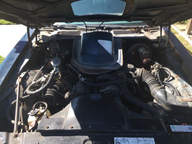 1979 Pontiac Trans Am - photo 10