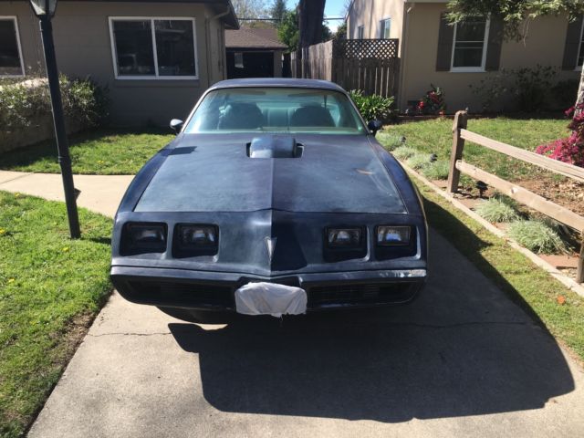 1979 Pontiac Trans Am - photo 2