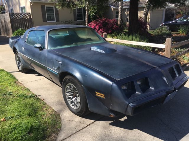 1979 Pontiac Trans Am - photo 6