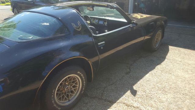 1979 Pontiac Trans Am T Top - photo 9