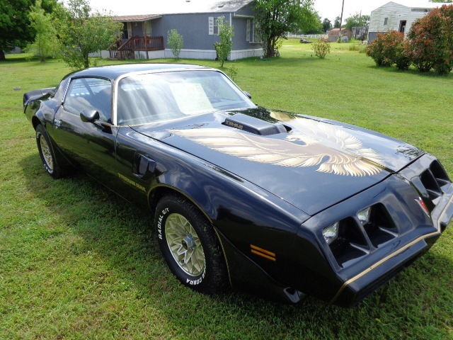 1979 Pontiac Trans Am