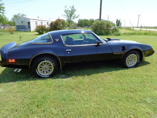 1979 Pontiac Trans Am - photo 2