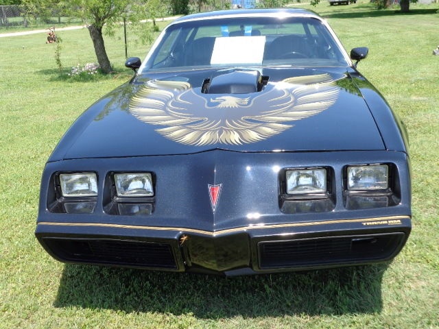1979 Pontiac Trans Am - photo 3