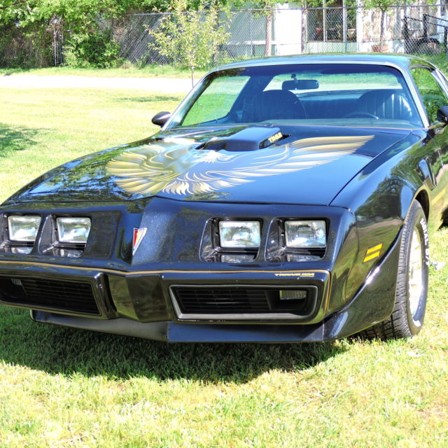 1979 Pontiac Trans Am - photo 5