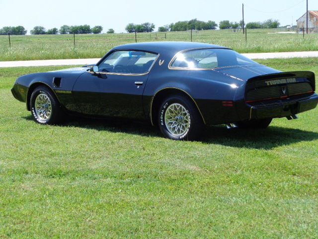 1979 Pontiac Trans Am - photo 6