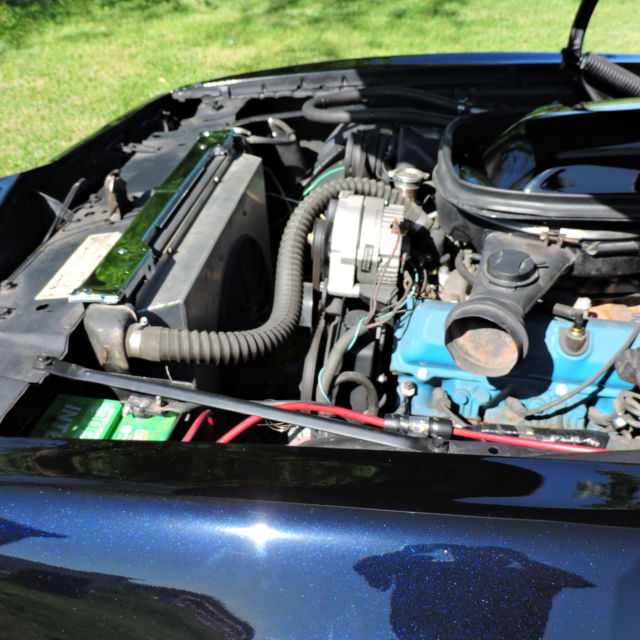 1979 Pontiac Trans Am - photo 7