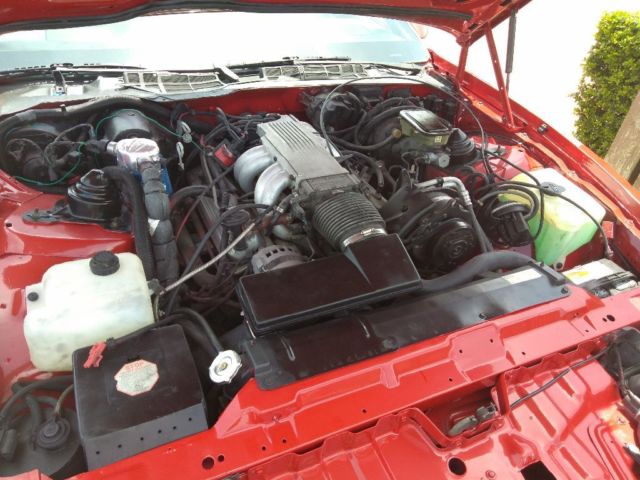 1987 Pontiac Trans Am - photo 10