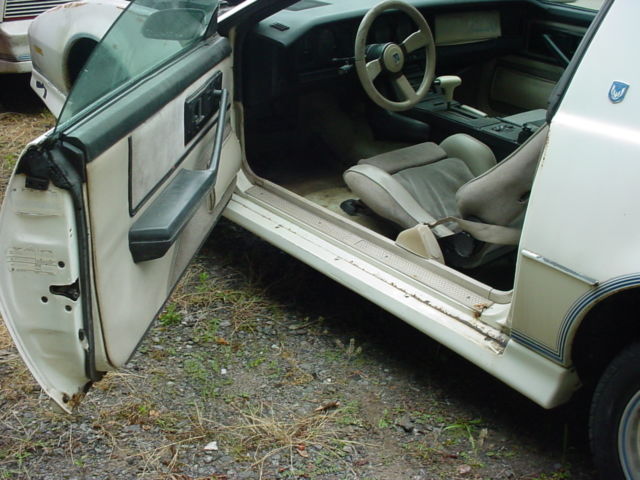 1984 Pontiac Trans Am 15TH ANNIVERSARY EDITION - photo 4