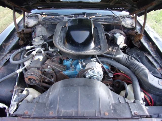 1976 Pontiac Trans Am - photo 6
