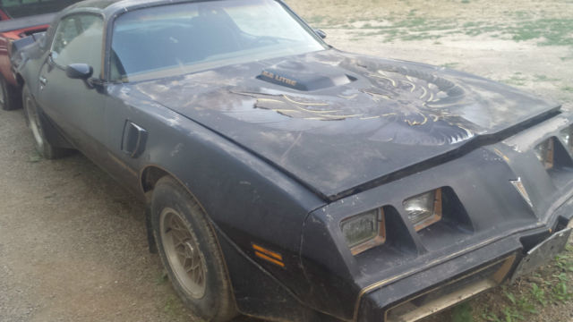 1979 Pontiac Firebird - photo 3
