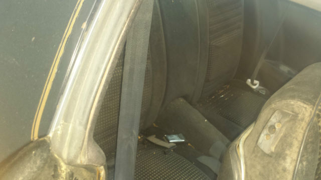 1979 Pontiac Firebird - photo 7