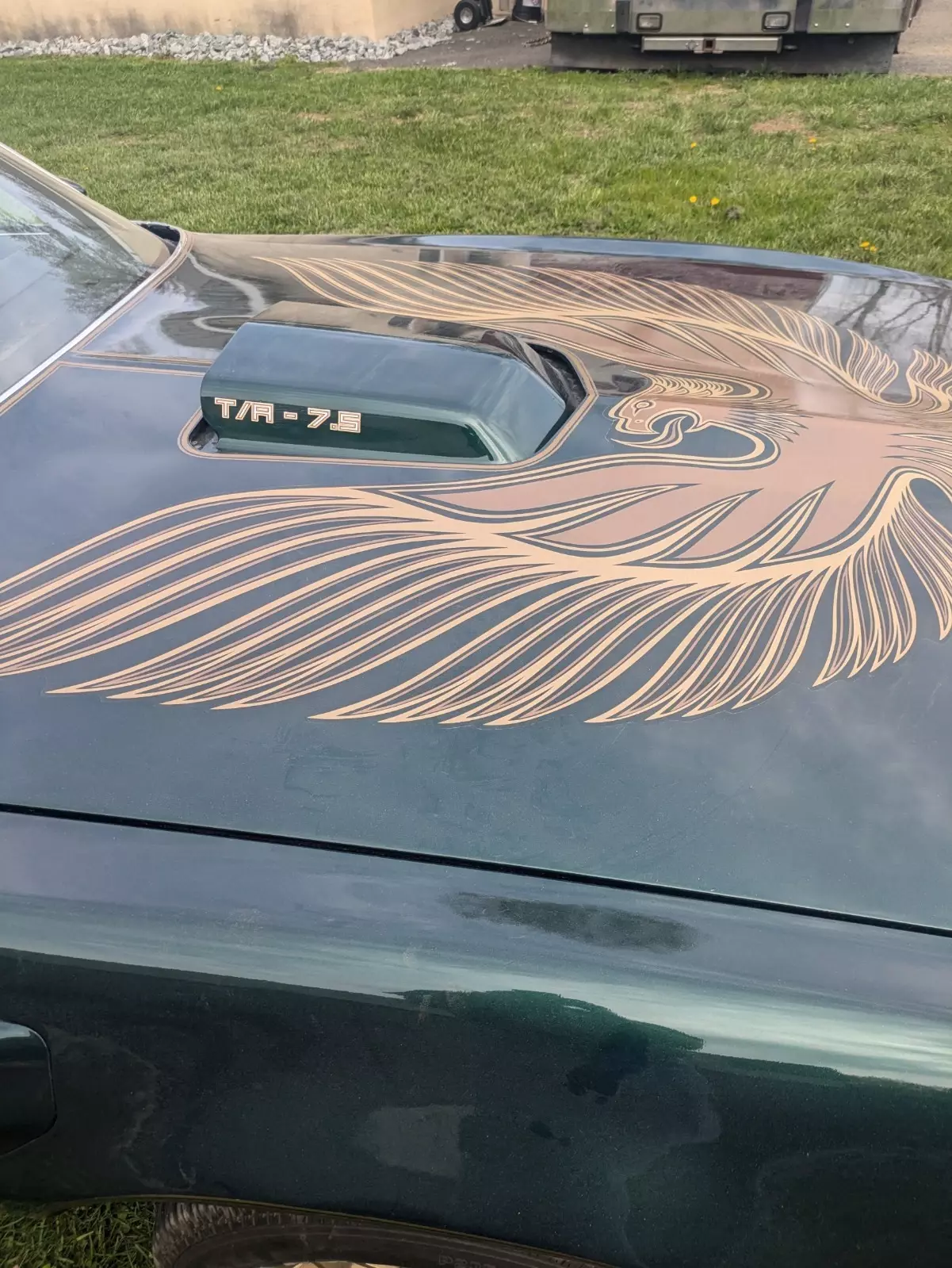 1979 Pontiac Trans Am - photo 3