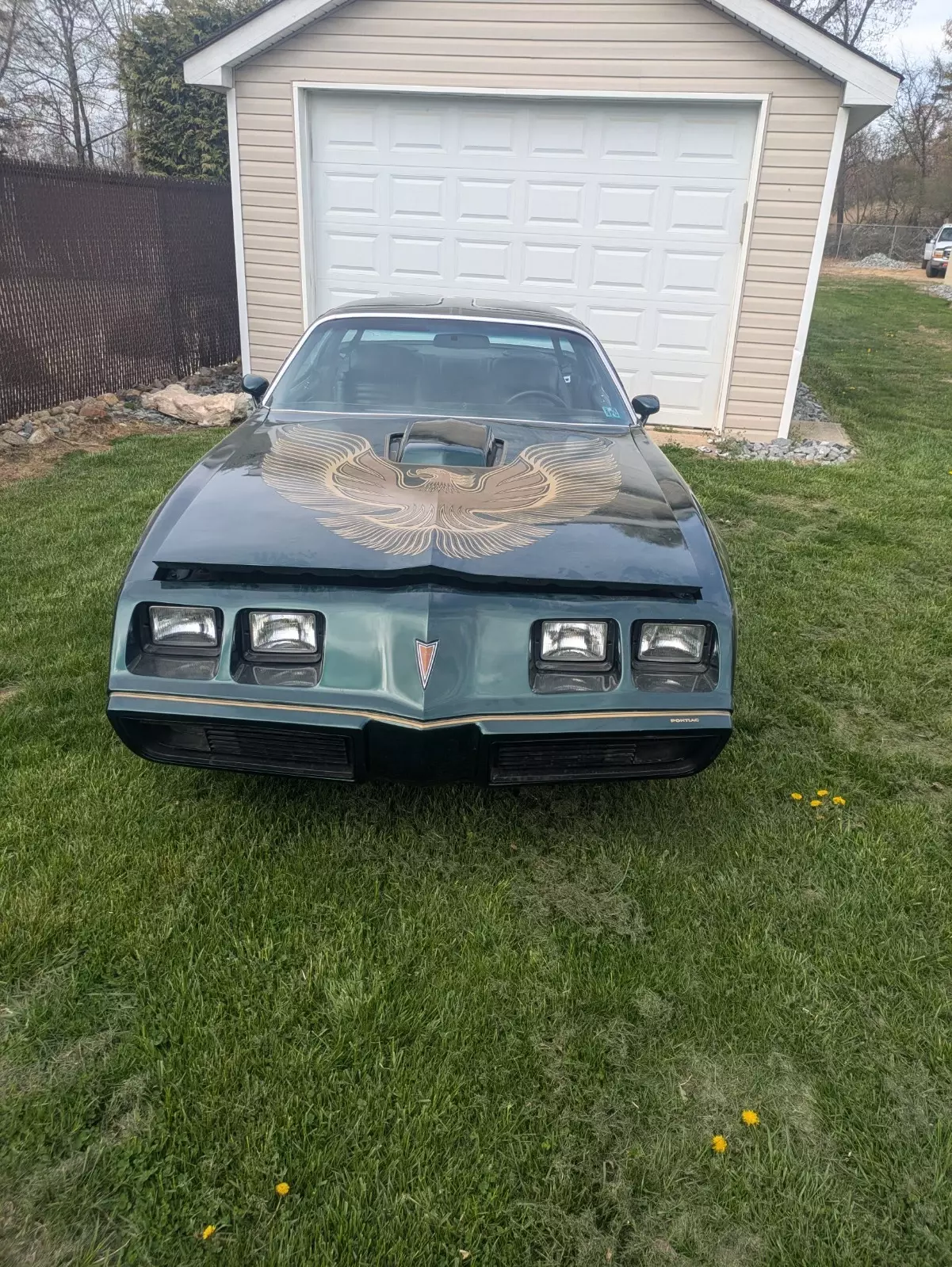 1979 Pontiac Trans Am - photo 7