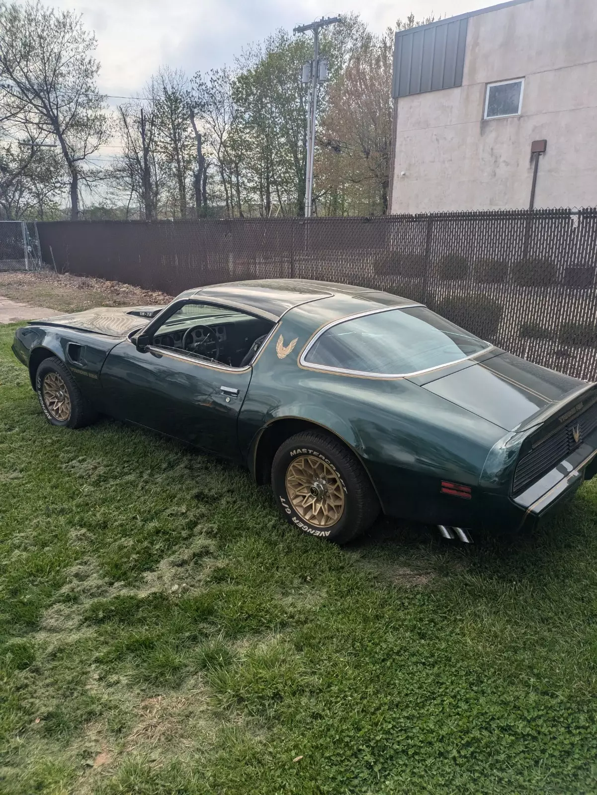 1979 Pontiac Trans Am - photo 8