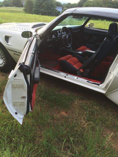 1981 Pontiac Trans Am NASCAR - photo 5