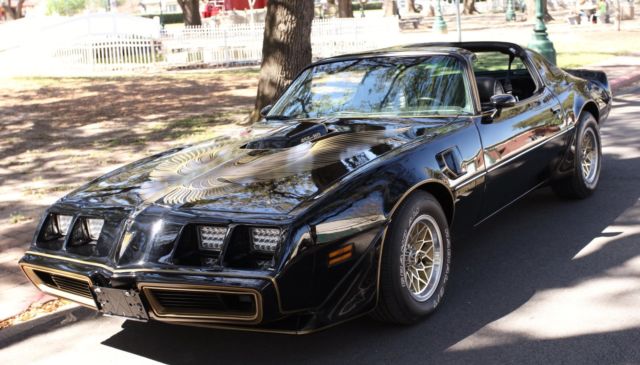 1981 Pontiac Trans Am SPECIAL EDITION