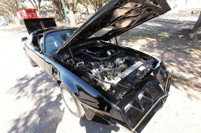 1981 Pontiac Trans Am SPECIAL EDITION - photo 10