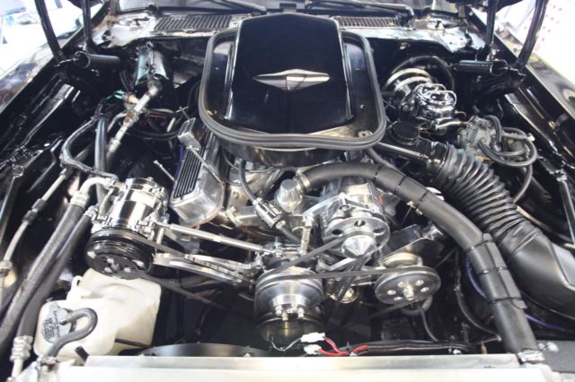 1981 Pontiac Trans Am SPECIAL EDITION - photo 11