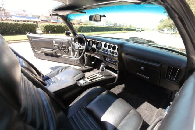 1981 Pontiac Trans Am SPECIAL EDITION - photo 12