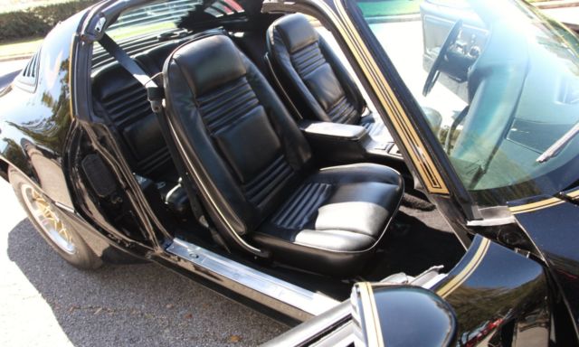 1981 Pontiac Trans Am SPECIAL EDITION - photo 13