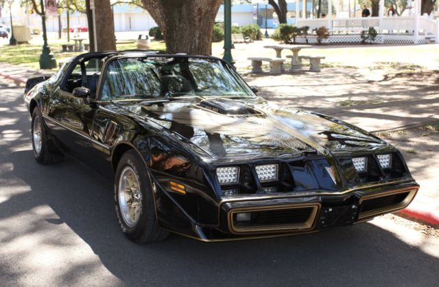 1981 Pontiac Trans Am SPECIAL EDITION - photo 3