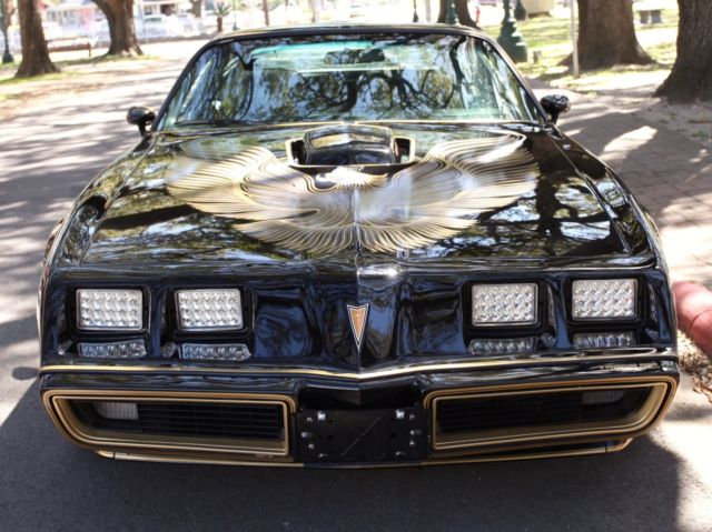 1981 Pontiac Trans Am SPECIAL EDITION - photo 4