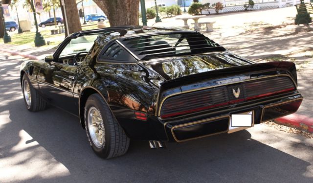 1981 Pontiac Trans Am SPECIAL EDITION - photo 5