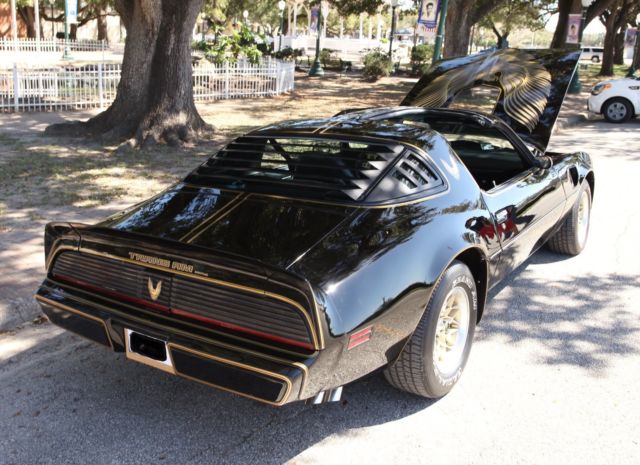 1981 Pontiac Trans Am SPECIAL EDITION - photo 6