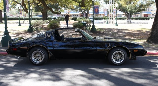 1981 Pontiac Trans Am SPECIAL EDITION - photo 7