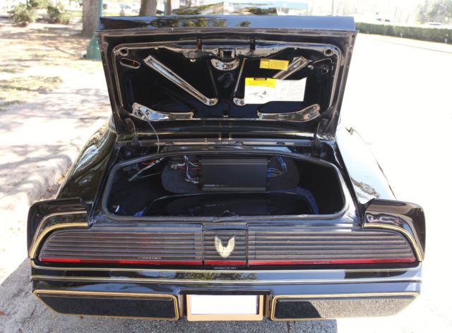 1981 Pontiac Trans Am SPECIAL EDITION - photo 9