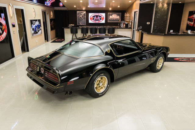 1976 Pontiac Firebird Trans Am SE 50th Anniversary - photo 11