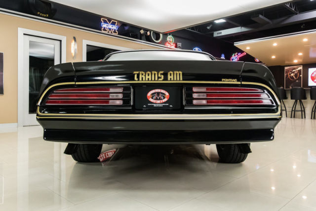 1976 Pontiac Firebird Trans Am SE 50th Anniversary - photo 13