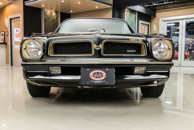 1976 Pontiac Firebird Trans Am SE 50th Anniversary - photo 6