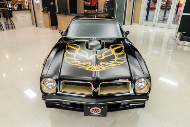 1976 Pontiac Firebird Trans Am SE 50th Anniversary - photo 7