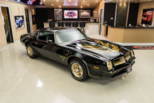 1976 Pontiac Firebird Trans Am SE 50th Anniversary - photo 9