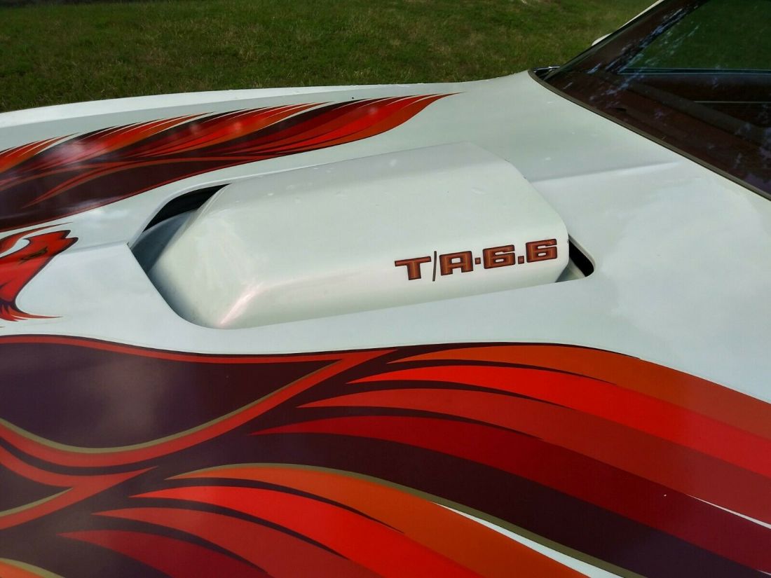 1979 Pontiac Trans Am - photo 7