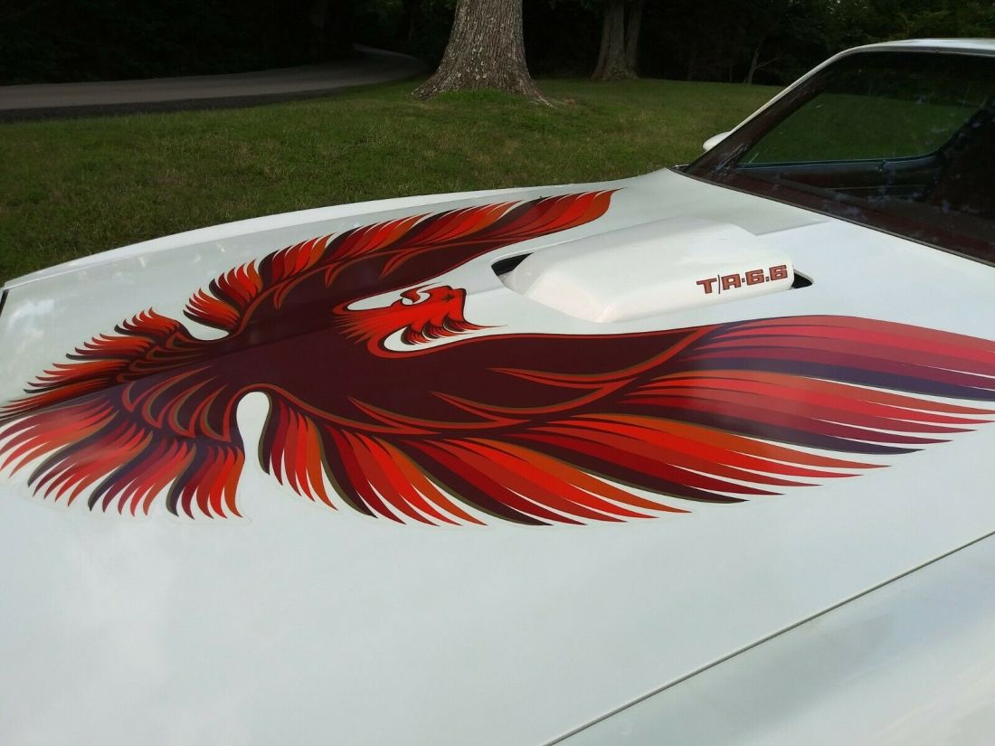 1979 Pontiac Trans Am - photo 8